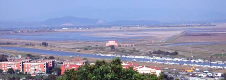 fotografia a colori della palude in Maremma (autore: Giorgio Visconti)