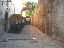 fotografia a colori della Via del Recinto in Maremma (autore: Giorgio Visconti)