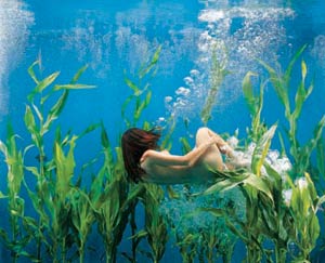 fotografia a colori del mese di aprile dal calendario "Acquatica" di Patrizia Savarese (fonte: Patrizia Savarese)