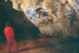 fotografia a colori di disegni d'arte rupestre del Paleolitico di circa 20000 anni fa, nelle grotte dell'Ardche, grotta Combe d'Arc, 1995 (fonte: Paolo Marzano)
