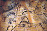 fotografia a colori dei disegni ritrovati d'arte rupestre del Paleolitico di circa 20000 anni fa, nelle grotte dell'Ardche, grotta Combe d'Arc, 1995 (fonte: Paolo Marzano)