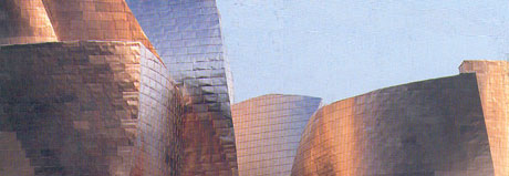 F. O. Gehry, particolare dal vero dell’effetto plastico della copertura in titanio (fonte: Paolo Marzano)