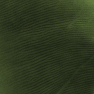 immagine a colori intitolata 'identit dei particolari' del 2001(autore: Andrea Carloni)