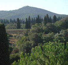 fotografia a colori di un paesaggio collinare nella Maremma settentrionale (autore: Giorgio Visconti)