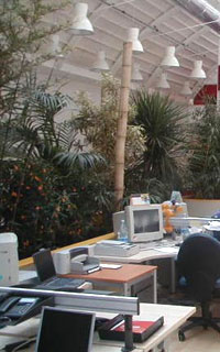 fotografia a colori di un interno di un ufficio vicino ai principi del feng shui (fonte: LivingFire)