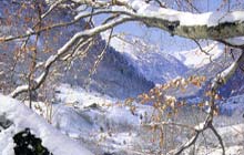fotografia a colori di un inverno nella media valle di Daone (fonte: archivio del Comune di Daone)