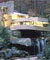 miniatura della fotografia a colori della Casa Kaufmann o Casa sulla Cascata - Fallingwater dell'architetto Frank Lloyd Wright (fonte: www.nationalgeographic.com/books/ 9903/fallingwater.html)