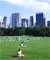 miniatura di una fotografia a colori di Central Park's Great Lawn (autore: Oscar Perez; fonte: http://newyork.citysearch.com/profile/11349719/?brand=msn)